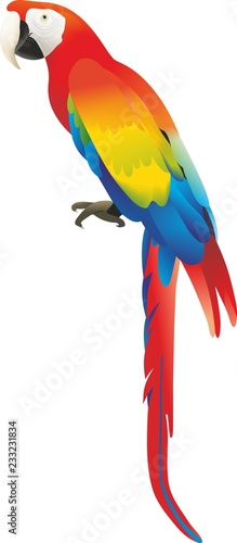Loro