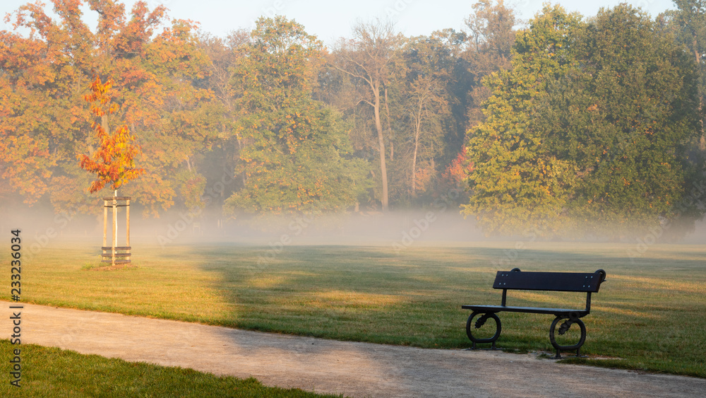 Scenic view of Stromovka town park in Prague, Czech Republic. Wooden bench, colorful autumnal leaves on trees and fog in background in sunny morning