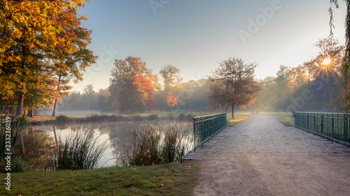 Photography Scenic view of Stromovka town park in Prague, Czech Republic
