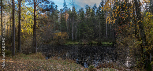 lake in autumn forest