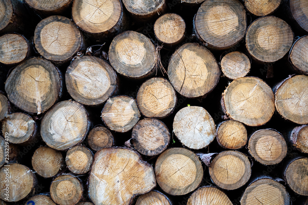 woodpile with logs of gray brown tree trunks, background texture woodpile with logs of gray brown tree trunks, background texture