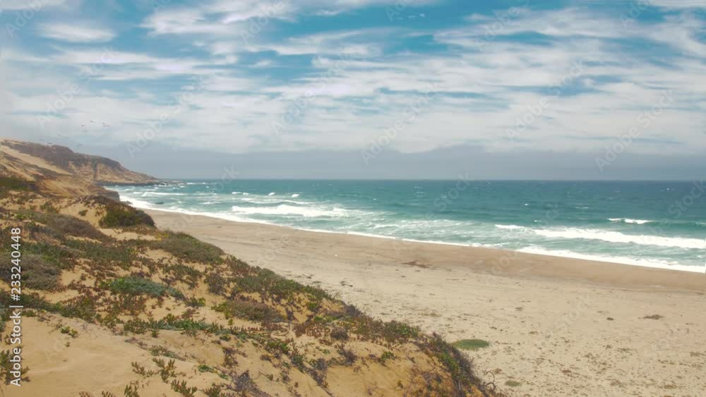 64 View of the beach with the birds flying by