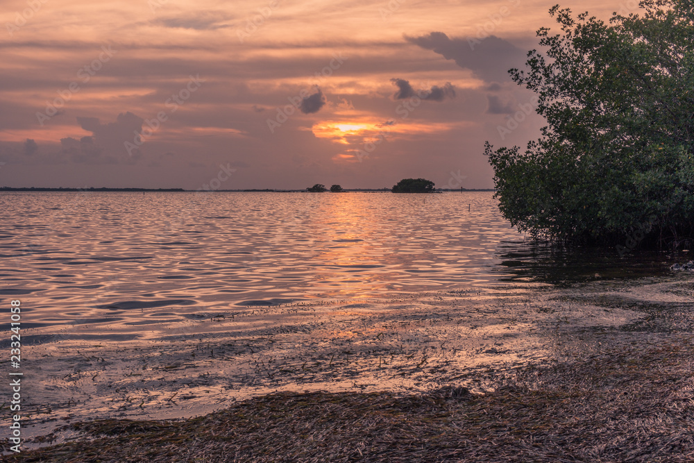 Pineland Monument Park, Pine Island, Fort Myers, Florida, USA - July 18, 2018: Idyllic sunset on an island in the Florida Keys