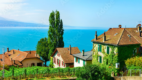 Chalets Vineyard Terraces hiking trail of Lavaux in Switzerland