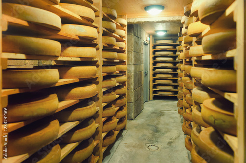 Принти на полотні Shelves of aging Cheese at ripening cellar dairy France