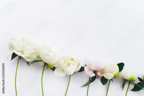 Peony flowers. The layout from an unopened Bud to a flower. Flowers on white background. 