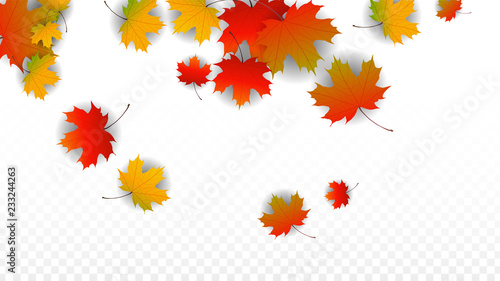 September Vector Background with Golden Falling Leaves. Autumn Illustration with Maple Red, Orange, Yellow Foliage. Isolated Leaf on Transparent Background. Bright Swirl. Suitable for Posters.