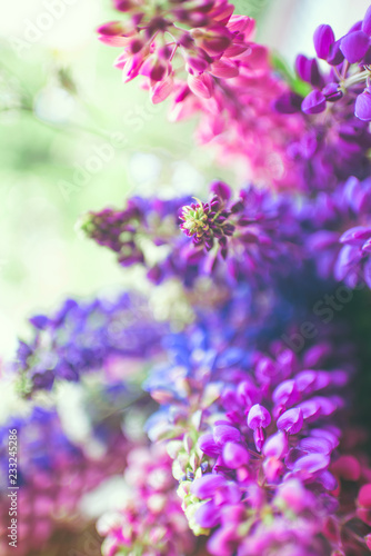 Vertical. Pink and purple lupines in a vase on a Sunny summer day. Blur Background. The main object out of focus