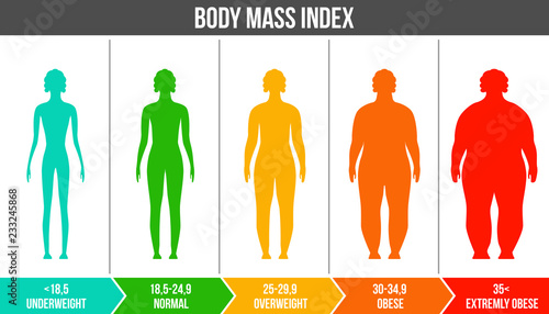 Creative vector illustration of bmi, body mass index infographic chart with silhouettes and scale isolated on transparent background. Art design health life template. Abstract concept graphic element photo