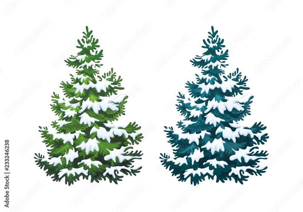 Realistic vector illustration of fir tree in snow on white background. Green and blue fluffy pines, isolated on white background 1.1