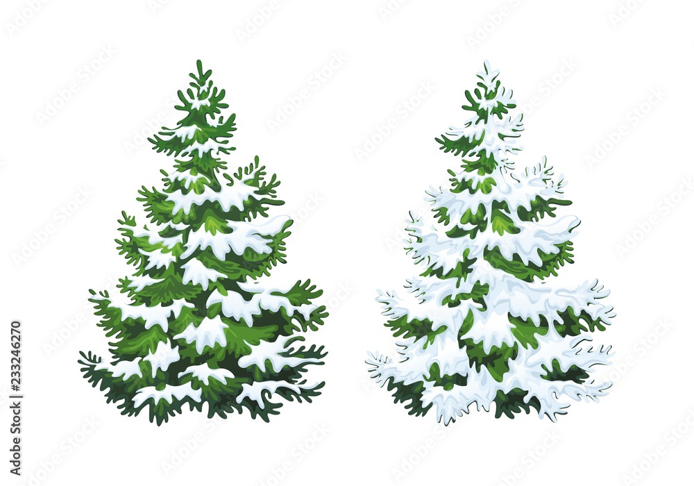Realistic vector illustration of fir tree in snow on white background. Green fluffy pine, isolated on white background 1.1 Realistic vector illustration of fir tree in snow on white background. Green fluffy pine, isolated on white background 1.1