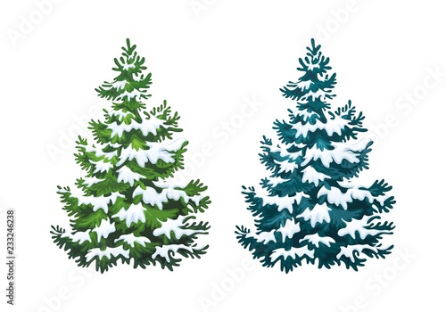 Realistic vector illustration of fir tree in snow on white background. Green and blue fluffy pines, isolated on white background 1.1