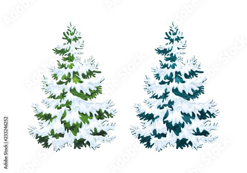 Realistic vector illustration of fir tree in snow on white background. Green and blue fluffy pines, isolated on white background 2.2
