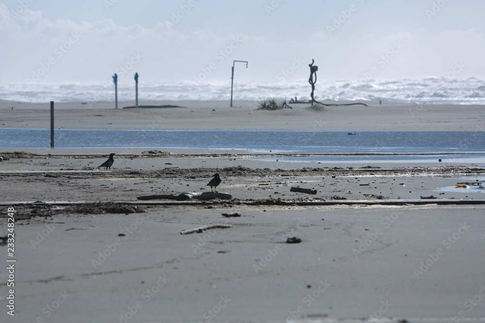 Hafen Meer Schiff Boot Strand