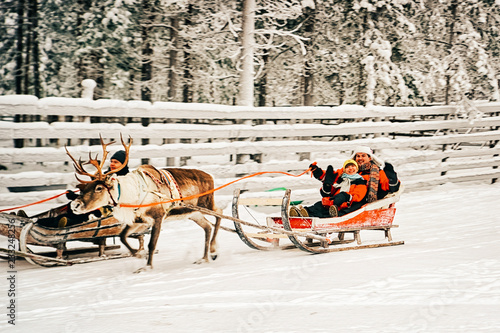 Racing on Reindeer sledge in Finland © Roman Babakin