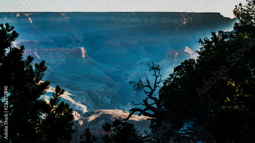 Grand Canyon view with trees in the foreground