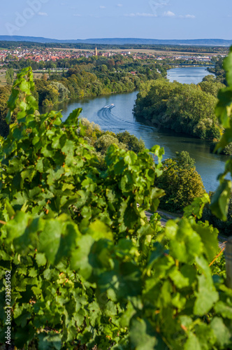 Blick von den Weinbergen über Volkach, das Maintal, den Main mit fahrendem Sportboot und die Mainschleife