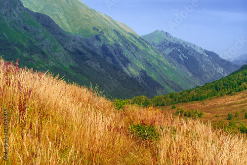 beautiful sunny mountain valley with autumn grass in the foreground