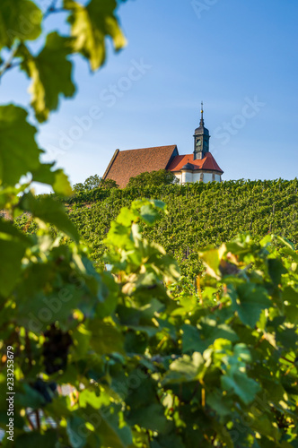 Weinberg, Wallfahrtskirche Maria im Weingarten und blauer Himmel bei Sonnenschein nahe der Stadt Volkach, umrahmt von Weinreben und Weinblätter