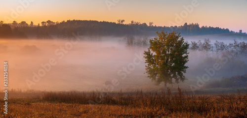 beautiful, misty sunrise over autumnal meadows and fields,beautiful play of light in the fog