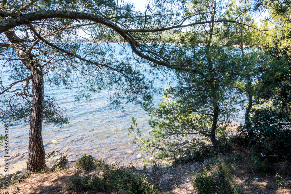 Seacoast of Cap Benat near Le Lavandou and Bormes-les-Mimosas in French Riviera