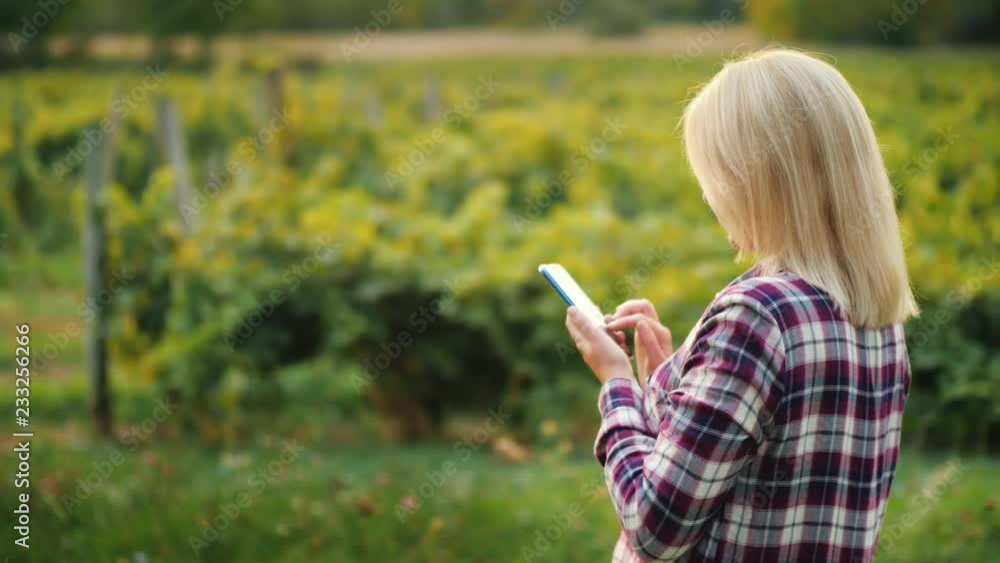 Rear view: A woman farmer uses a smartphone on the background of vineyard. Small business owner Rear view: A woman farmer uses a smartphone on the background of vineyard. Small business owner