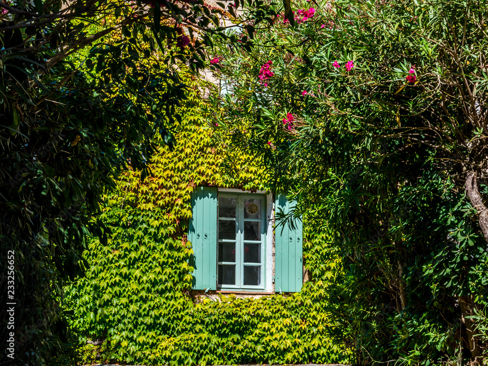 Old typical house in Provence in summer