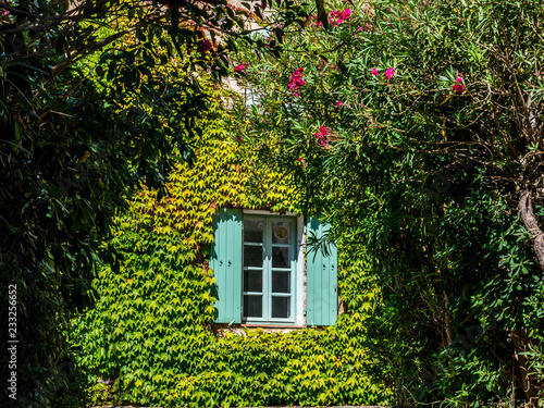 Fototapeta Naklejka Na Ścianę i Meble -  Old typical house in Provence in summer