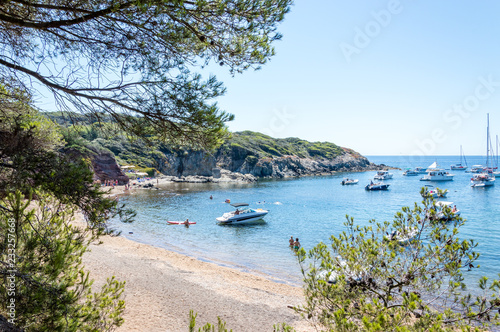 Seacoast in summer of the island of Porquerolles photo