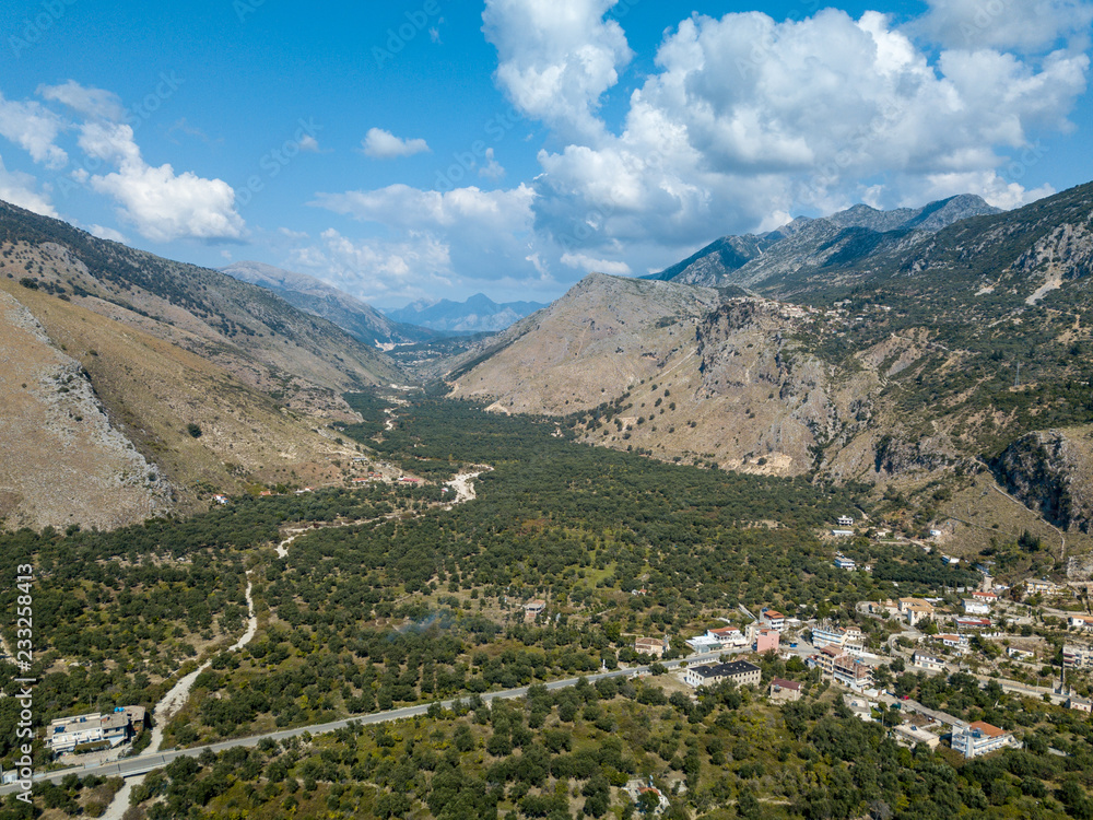 Aerial view of olive trees in Albania