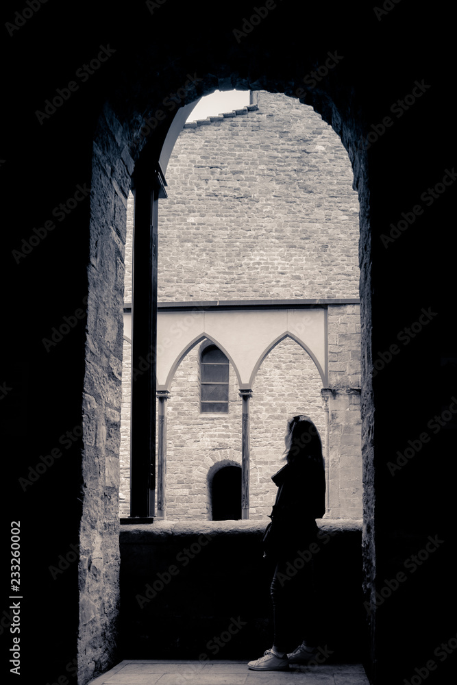 Fototapeta premium Historical Castle of Cardona in Barcelona, Catalonia.
