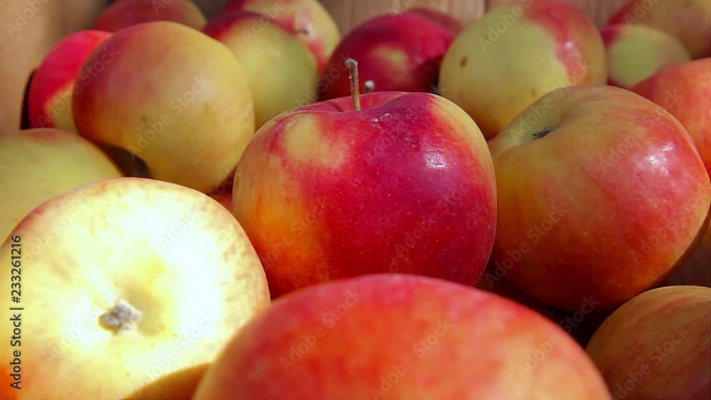 red ripe apples in craft boxes under sunshine red ripe apples in craft boxes under sunshine