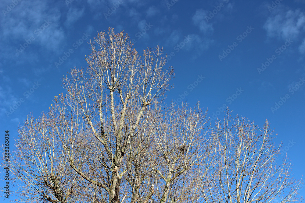North Sea landscape 3.