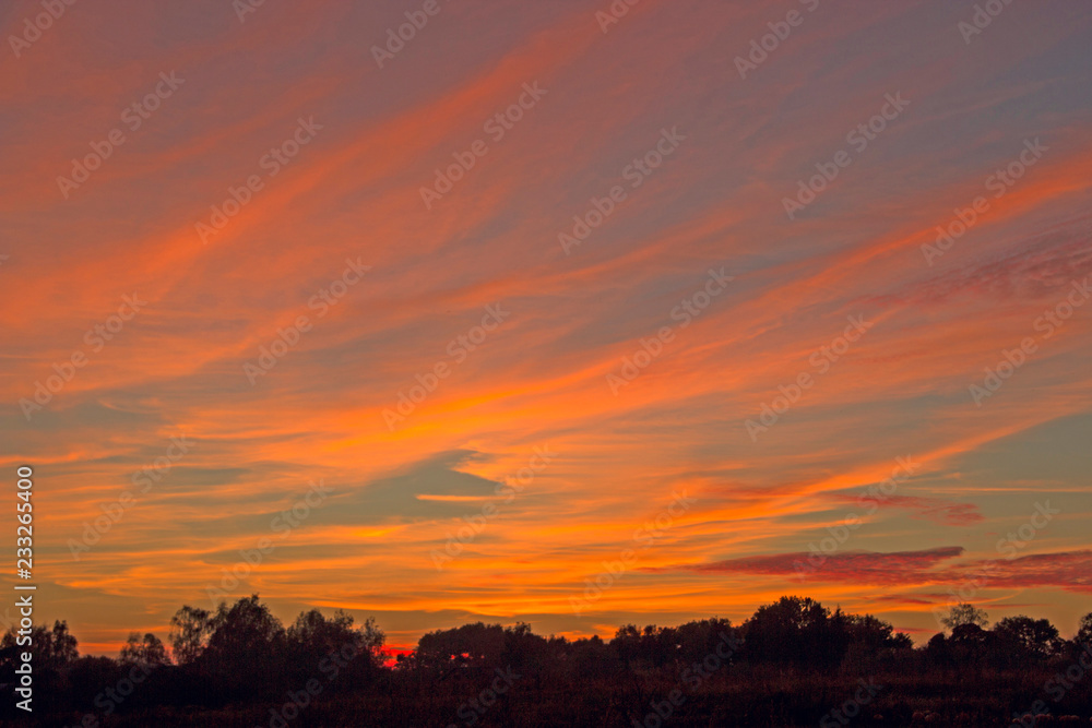 Orange sunset over trees. Twilight with bright sunset. Evening landscape