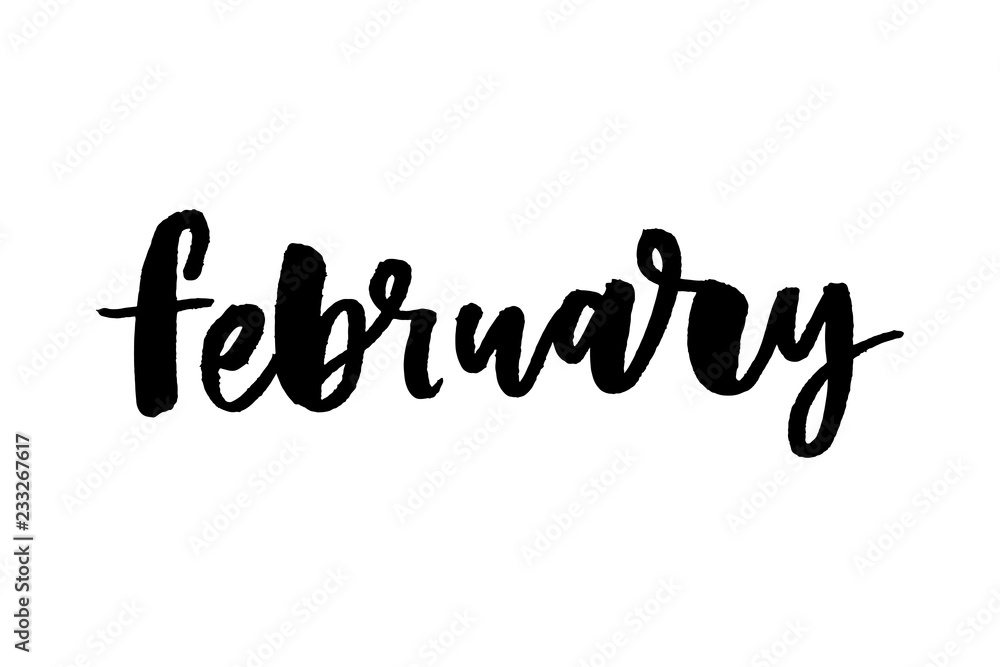 Vector. February ink hand drawn calligraphy. Brush painted calligraphy isolated on white background. February lettering, cursive. February inscription, calendar month. Winter calligraphy. EPS10 Vector. February ink hand drawn calligraphy. Brush painted calligraphy isolated on white background. February lettering, cursive. February inscription, calendar month. Winter calligraphy. EPS10