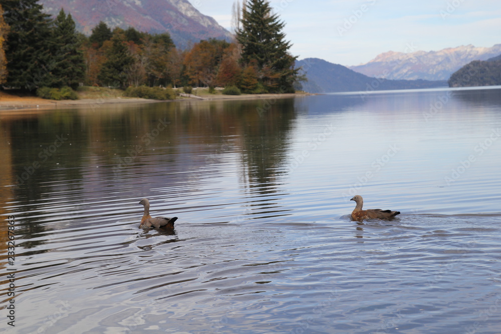 Lago Correntoso, Siete Lagos, San Martin de los Andes, Villa La Angostura, Neuquen, Patagonia Argentina Lago Correntoso, Siete Lagos, San Martin de los Andes, Villa La Angostura, Neuquen, Patagonia Argentina