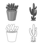 Vector illustration of cactus and pot icon. Collection of cactus and cacti stock symbol for web.