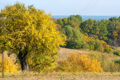 Fototapeta Naklejka Na Ścianę i Meble -  Autumn nature landscape