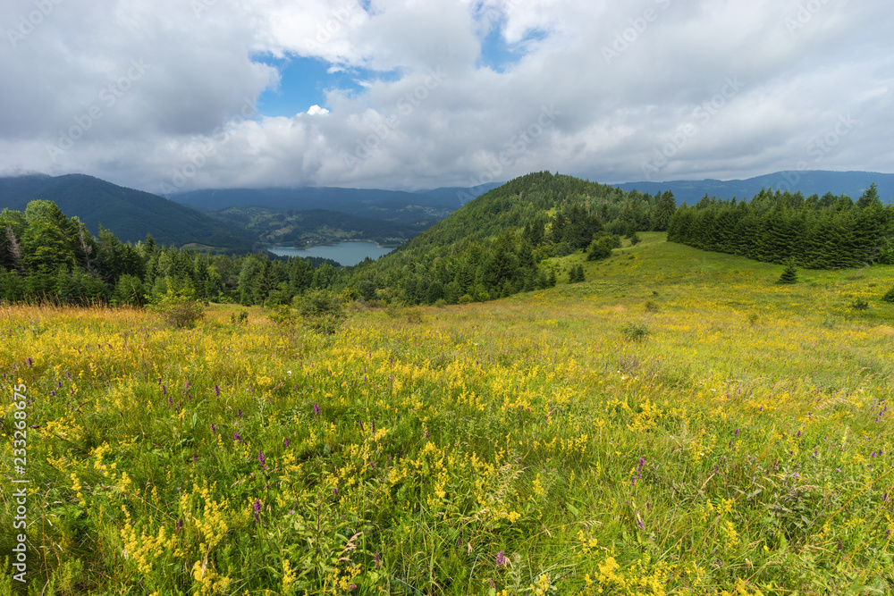 Summer landscape of Serbian untouched nature. View on the lake from a high point, flowering fresh meadow with grasses