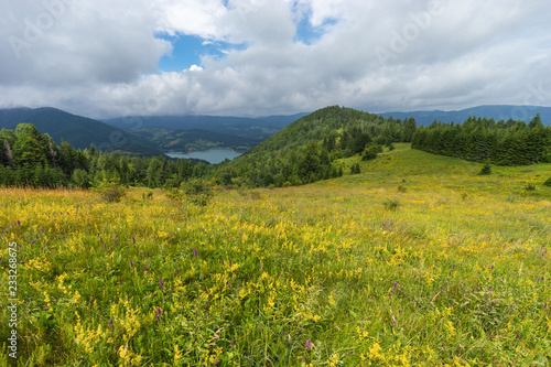 Summer landscape of Serbian untouched nature. View on the lake from a high point, flowering fresh meadow with grasses
