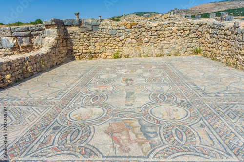 Roman mosaics in Volubilis, morocco photo