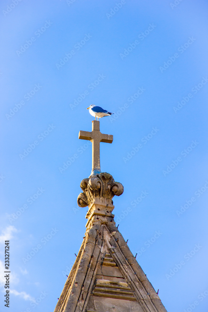 Seagull on a cross on the roof of the bell tower of a church