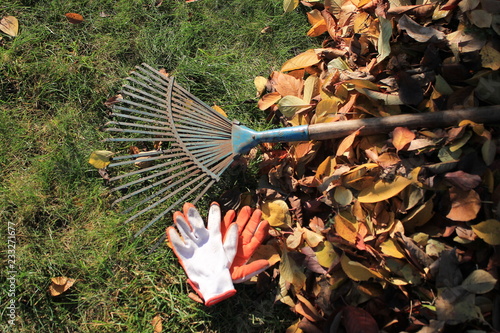 A fan rake and gloves lie on the grass next to fallen autumn leaves.