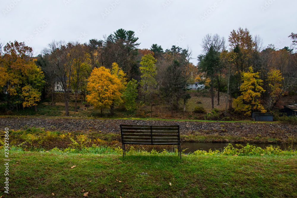 bench in the autumn 