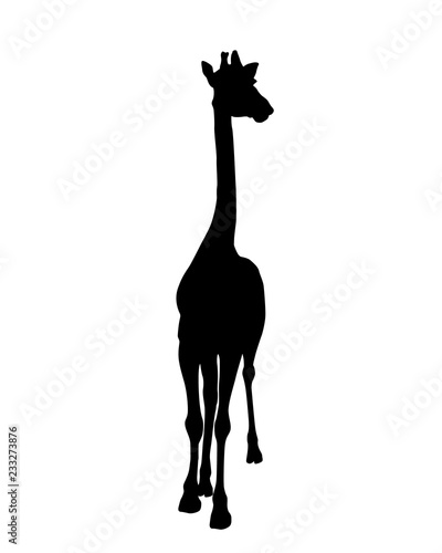 Giraffe silhouette isolated on white background vector