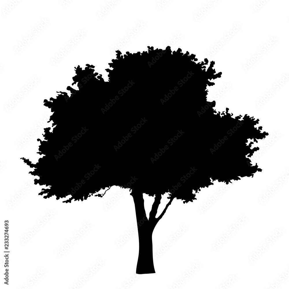 Fototapeta premium Tree silhouette isolated on white background vector
