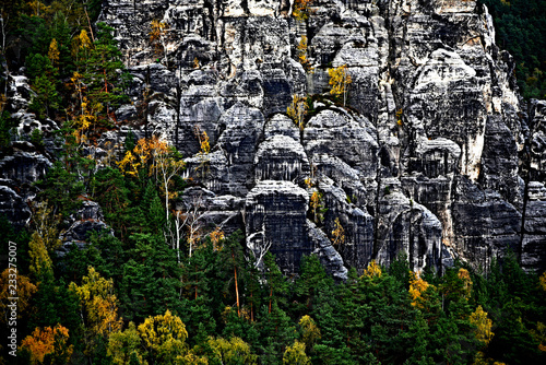 Saxony Mountain Forest photo