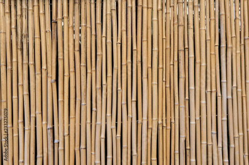 Grouping of Bamboo to Form Fence