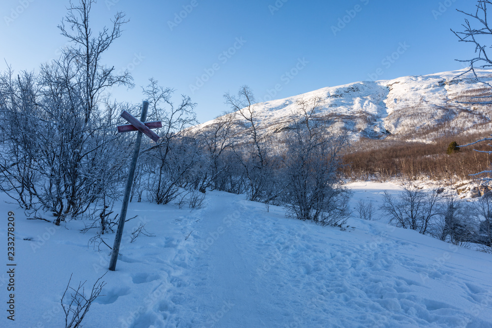 Winter landscape in Lapland, Abisko National Park, Abisko, Sweden Winter landscape in Lapland, Abisko National Park, Abisko, Sweden