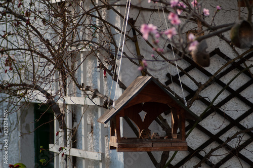 Vogelhäuschen in herbstlichem, winterlichem Garten mit rosa Blüten und alter Scheune © ViolaFroidevaux